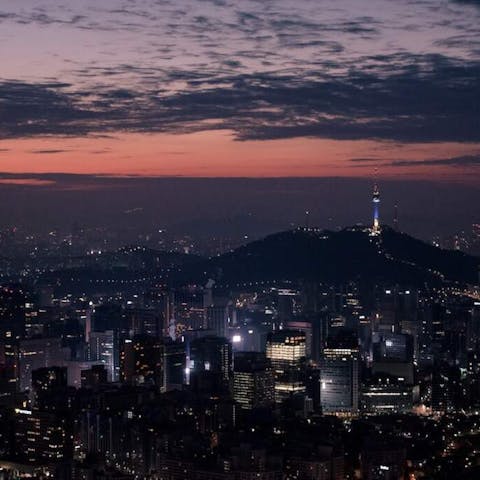 A Tale of Two Flowers: Exploring the Markets of Seoul - Flora Queen