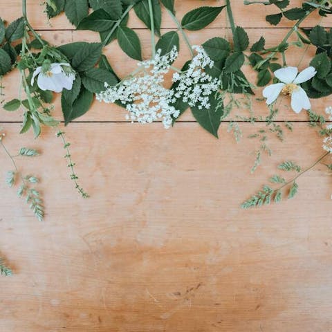 Unusual Funeral Flowers: Adding a Unique Touch to Farewell Tributes - Flora Queen