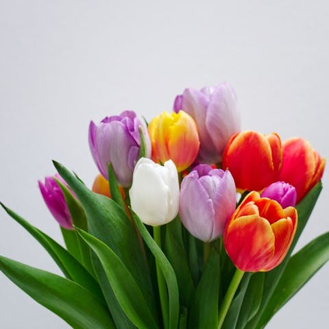 Sending Flowers from Italy to Spain with FloraQueen - Flora Queen