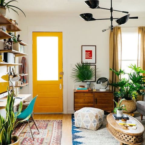 the best Hard-To-Kill Plants - Flora Queen