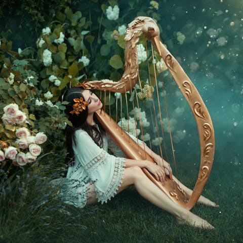 What Are Some Well Known Songs About Flowers? - Flora Queen