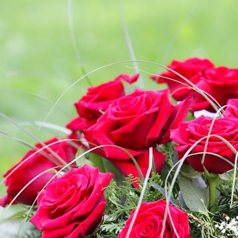 Discover the Best Memorial Flowers and Learn Which Flower Color to Express Your Most Sincere Feelings - Flora Queen