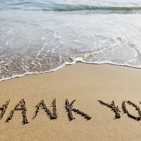 The Best Way to Send a Thank You Message Is by Offering Flowers  - Flora Queen