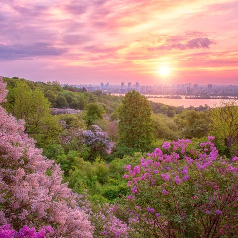 What Are the Benefits of Botanical Gardens? - Flora Queen