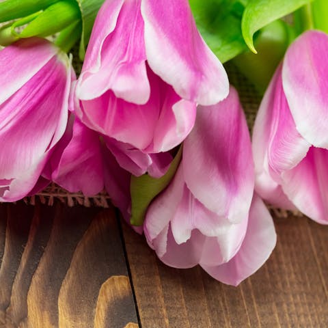 Sharing the Top 10 Get Well Gift Ideas for Anyone and Everyone - Flora Queen