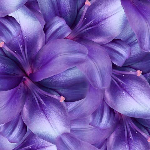 Different Kinds of Purple Flower Names to Put Into Your Garden - Flora Queen