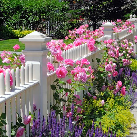 Flower Definition: The Most Important Functions Of Flowers - Flora Queen