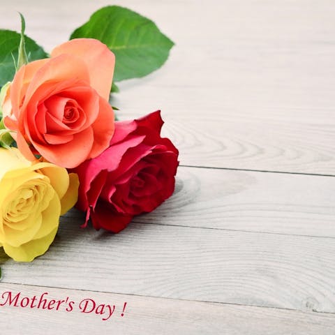 How to Pick the Best Mother’s Day Roses - Flora Queen