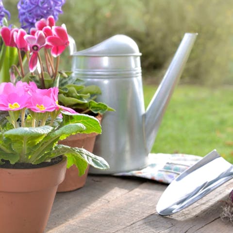 Choosing The Best Perennial Flowers That Bloom From Spring To Fall - Flora Queen