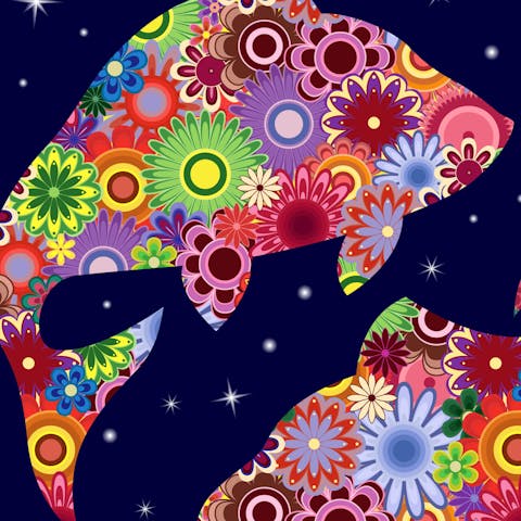 What Are The Perfect Flowers For A Pisces? - Flora Queen