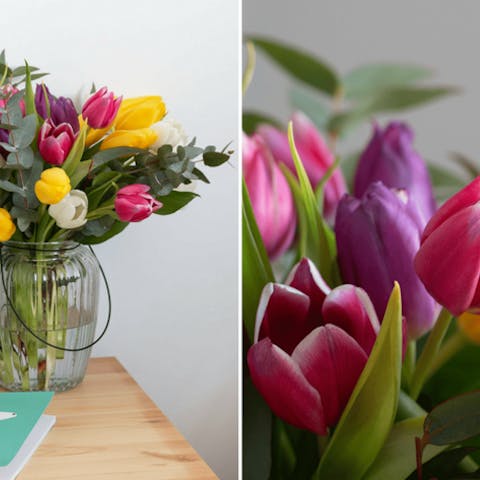 Why This Colourful Tulip Bouquet is Our Favourite In March - Flora Queen