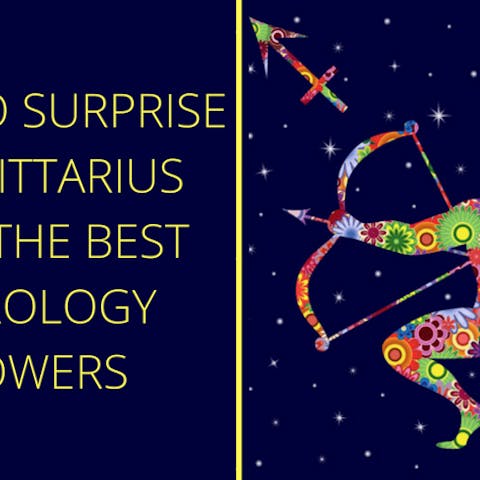 How To Surprise A Sagittarius With The Best Astrology Flowers - Flora Queen