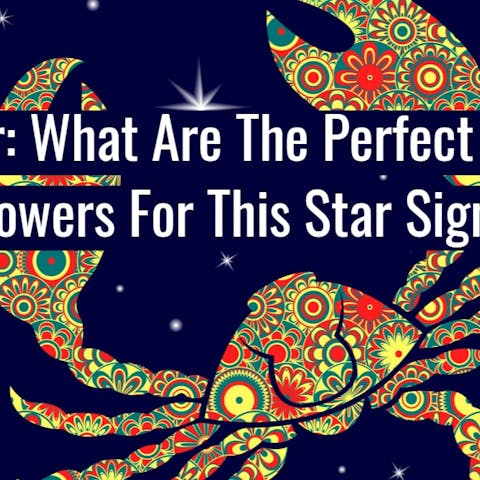 Cancer: What Are The Perfect Zodiac Flowers For This Star Sign? - Flora Queen