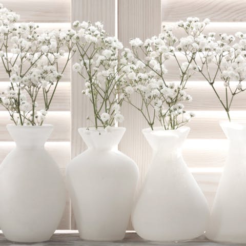 White Flowers Meaning and When to Send Them - Flora Queen