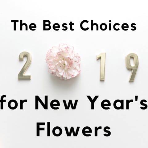 The Best Choices for New Year’s Flowers - Flora Queen
