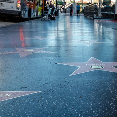 Our Top 5 Celebrity Flower Fans - Flora Queen