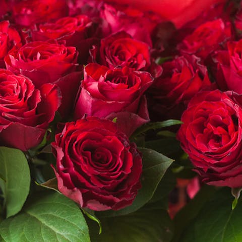 The Meaning of Roses by number- Part 1 - Flora Queen