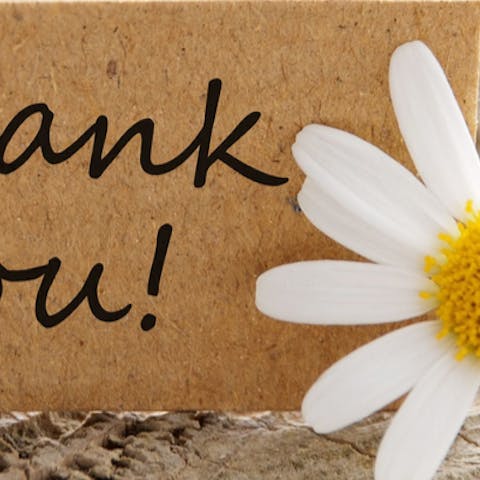 Your Guide to the Best Thank You Flowers - Flora Queen