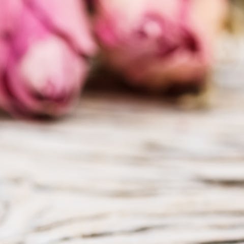 4 Ways to Dry Your Flowers - Flora Queen