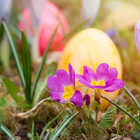 How-is-Easter-celebrated-in-the-world Flora Queen