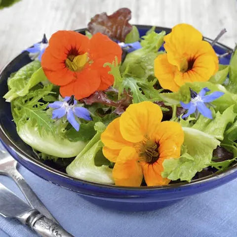 Spring-can-also-be-tasty Flora Queen