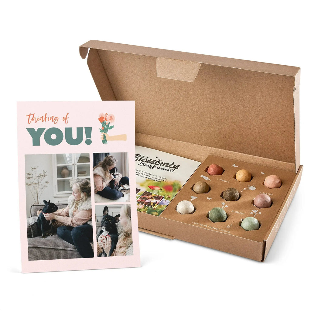 34d64e247f72f9c3a477aa80f6858065