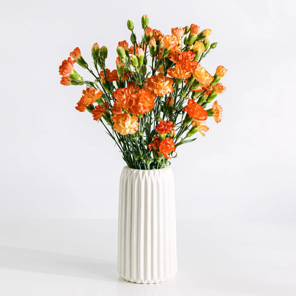 Roverbell Blossoms Flora Queen Flora Queen