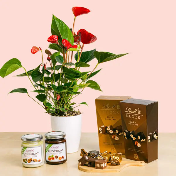 Noir & Lait Fusion Flora Queen Flora Queen