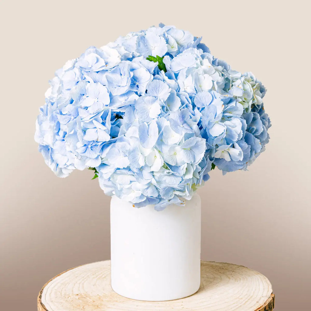 Soulful Eyes Flora Queen Flora Queen