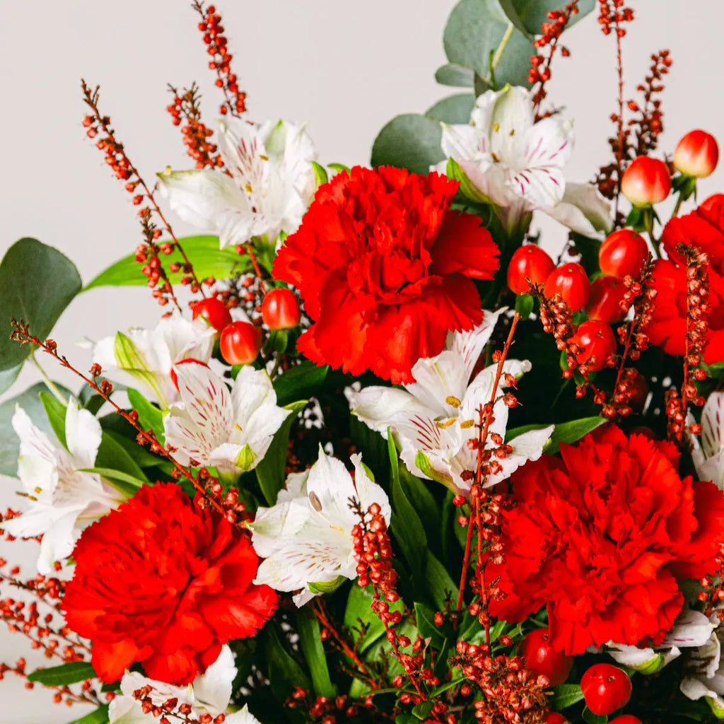 Warmest Wishes Flora Queen Flora Queen