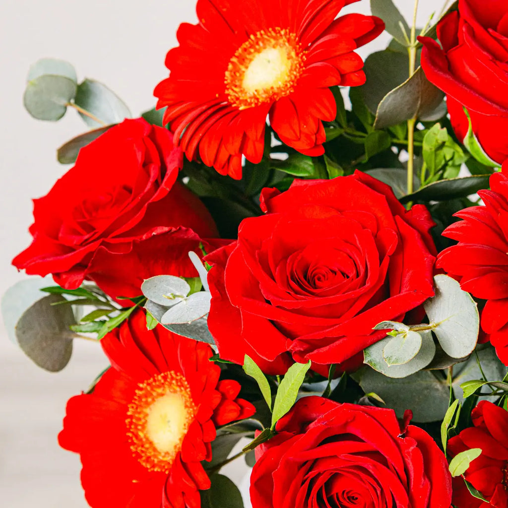 Pure Joy Flora Queen Flora Queen