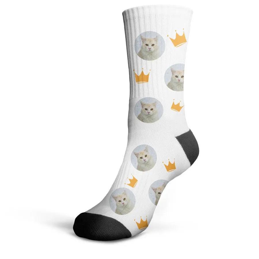 a8ebe7564cb21231cdf4474c50388a01